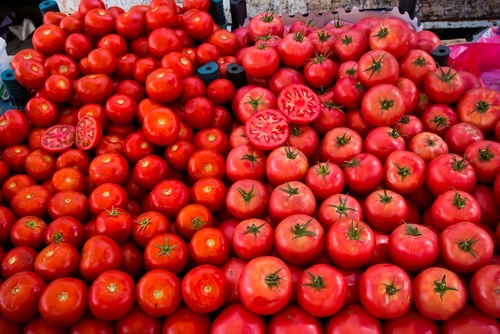 FDA raise tomato recall to class 1 due to salmonella contamination