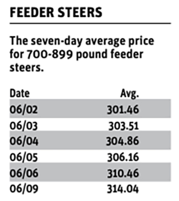 The seven-day average price for 700-899 pound feeder steers.