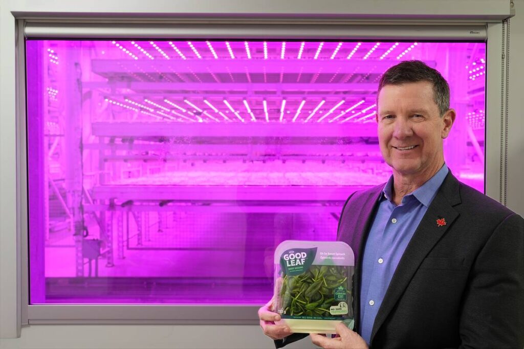 GoodLeaf Farms is on track to become first vertical farm worldwide with all facilities profitable