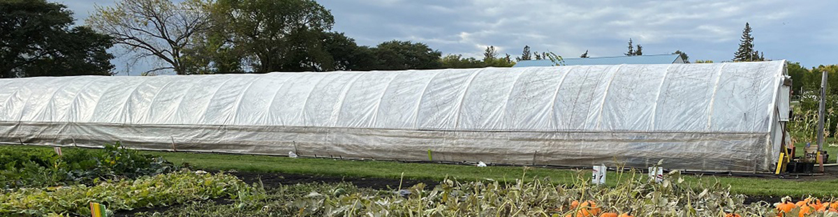 An exterior view of a high tunnel - a semi-permanent structure made of hoops wrapped in plastic used to extend the growing season, similar to a greenhouse.