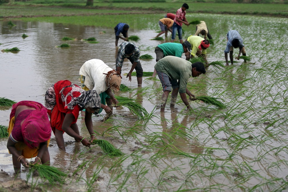 India’s monsoon stalls after early start