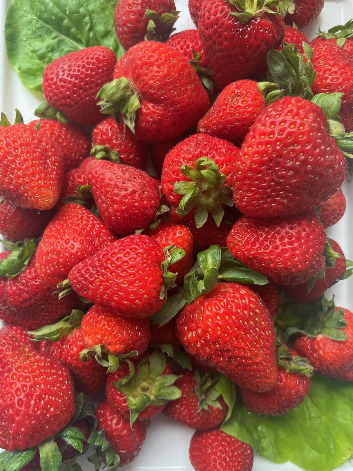 A pile of fresh, red strawberries with a couple green leaves beneath them on top of a white surface.