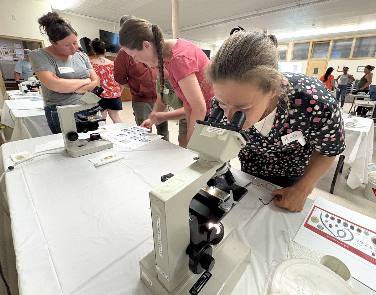 Smart deworming starts with individualized fecal egg counts