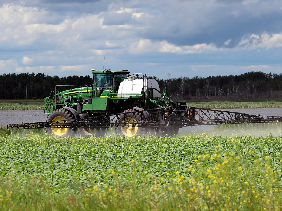 A large agricultural sprayer spraying canola ahead of bolting.