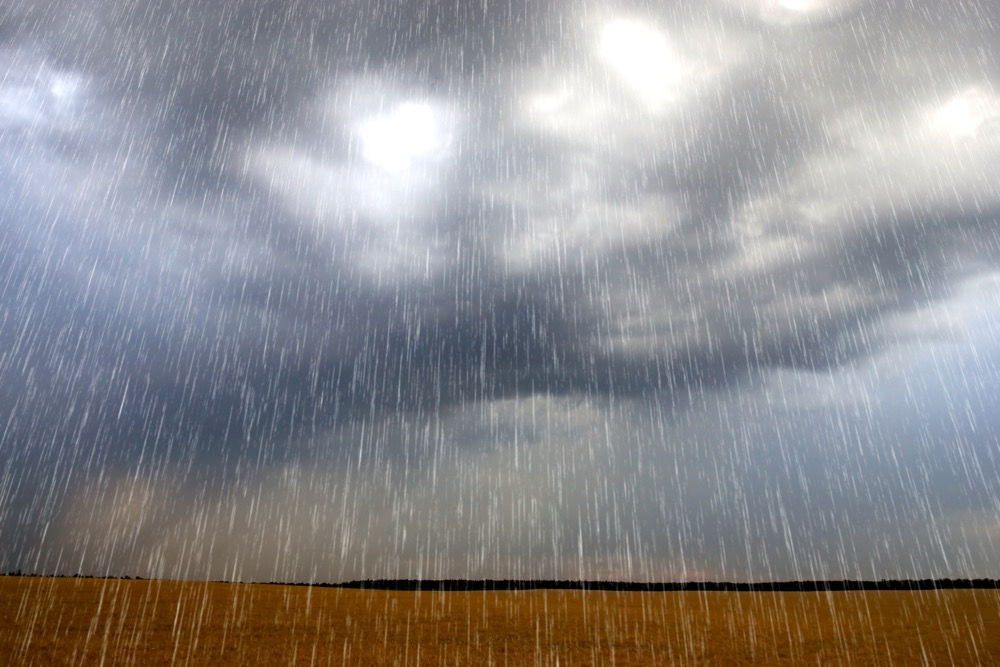 Saskatchewan crops in need of rain: report