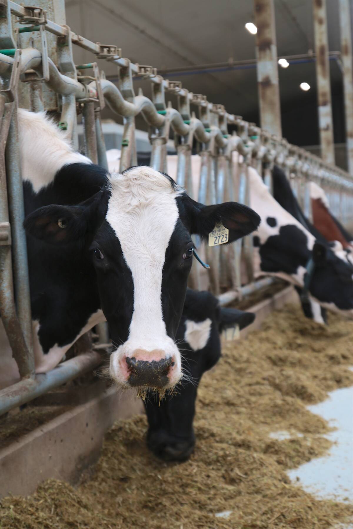 Supply management bill goes straight to Senate
