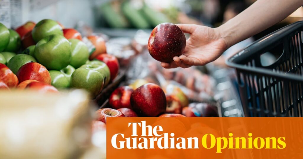 The way to tackle obesity in the UK is to make healthy food affordable. But the government won’t admit it | Zoe Williams