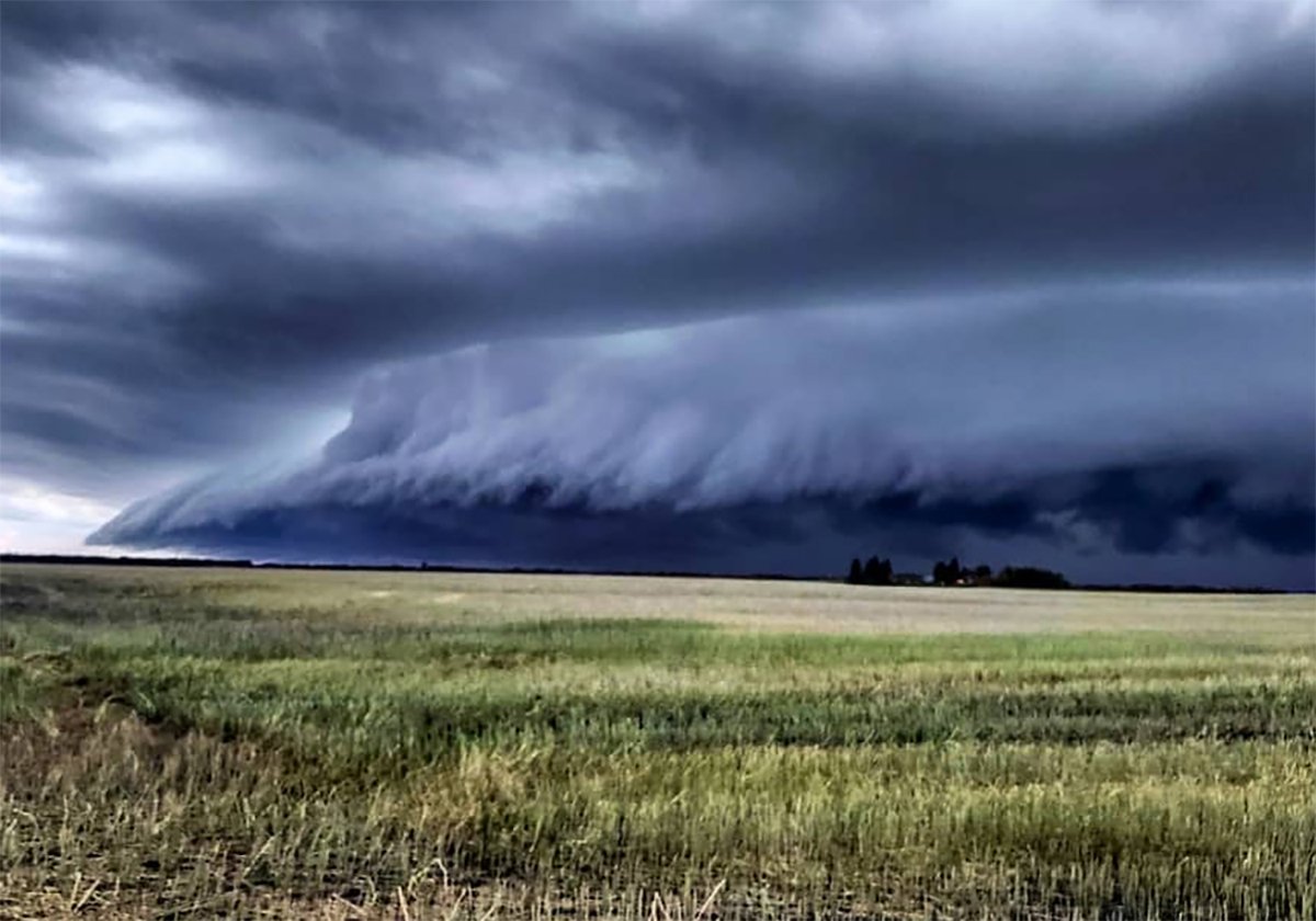 A dark and menacing-looking storm cloud shelf photographed across a prairie field in summer.