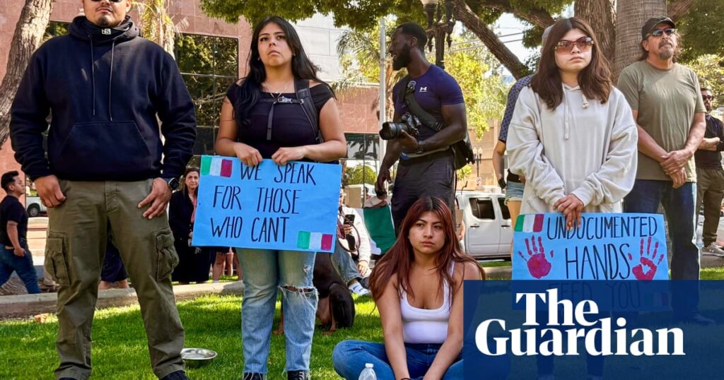 ‘I’m scared to death to leave my house’: immigrants are disappearing from the streets – can US cities survive? | US immigration