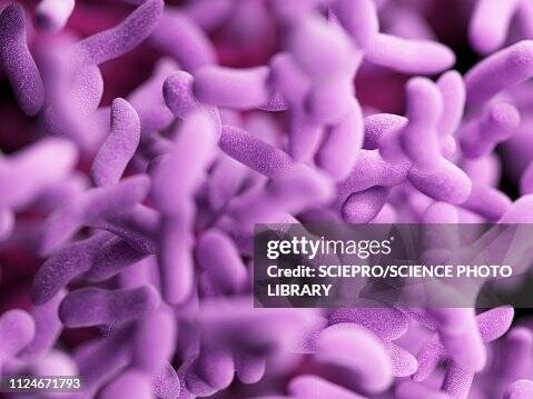 Illustration of bacteria.