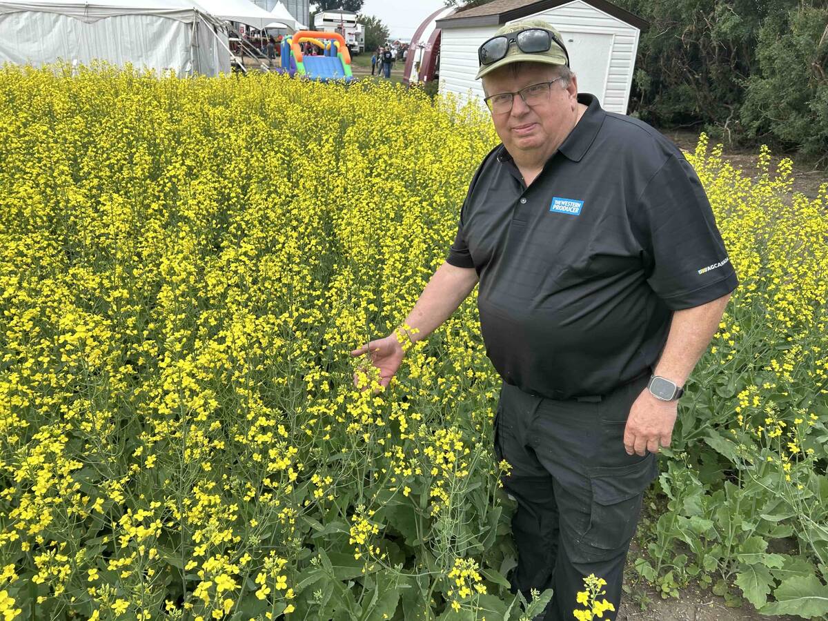 Western Producer Markets Desk analyst Bruce Burnett inspects a canola plot at Ag In Motion 2025.
