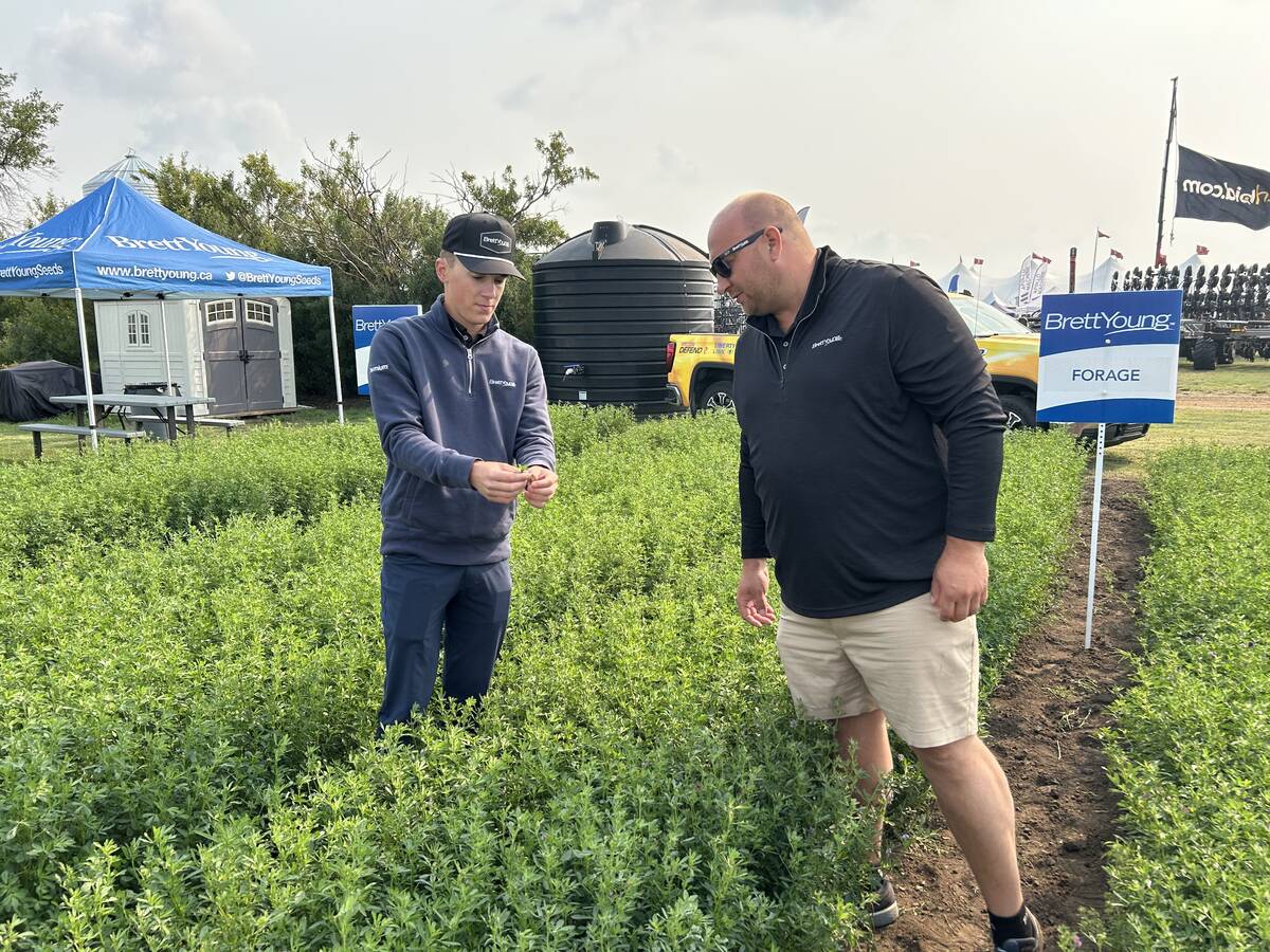 Kaiden Bursaw and Kyle Slobodian of BrettYoung examine the forage plots at Ag in Motion 2025 near Langham, Sask.