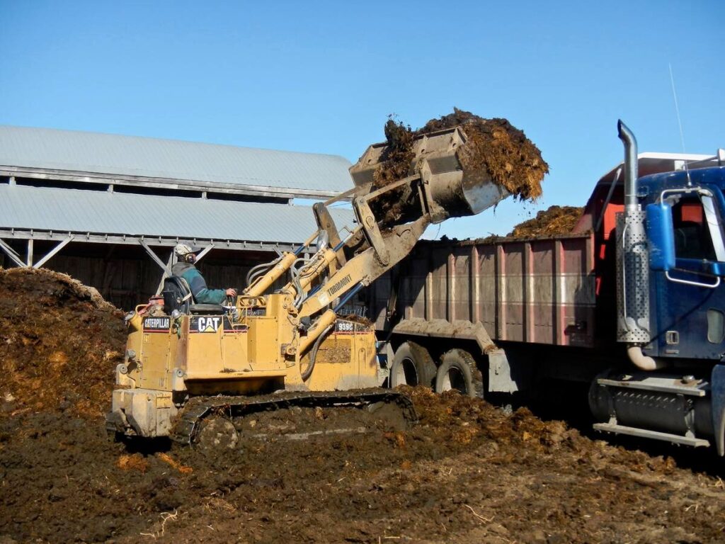 Cattle manure is cleared out of a farm yard in central Manitoba. Photo: Jeannette Greaves