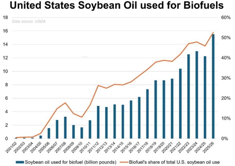 AM Market Report – July 15, 2025