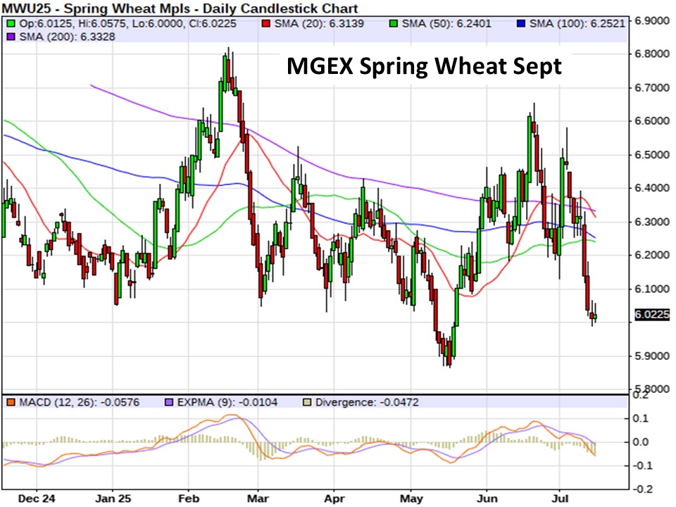 AM Market Report – July 16, 2025