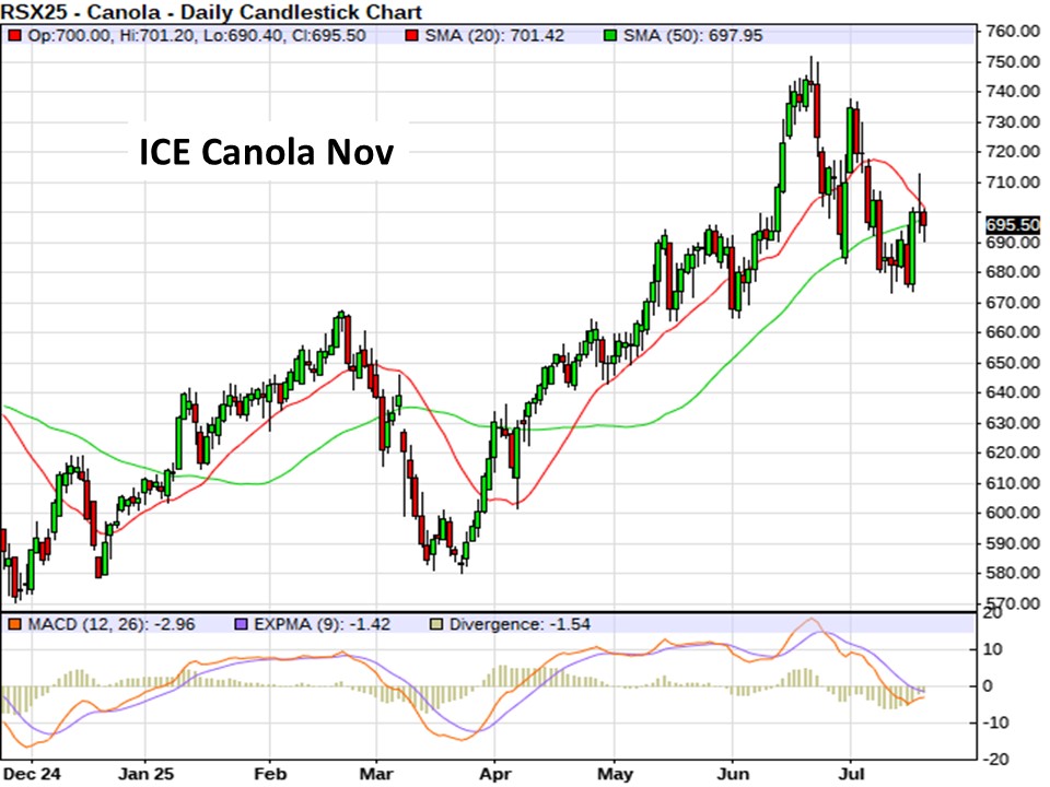 AM Market Report – July 21, 2025