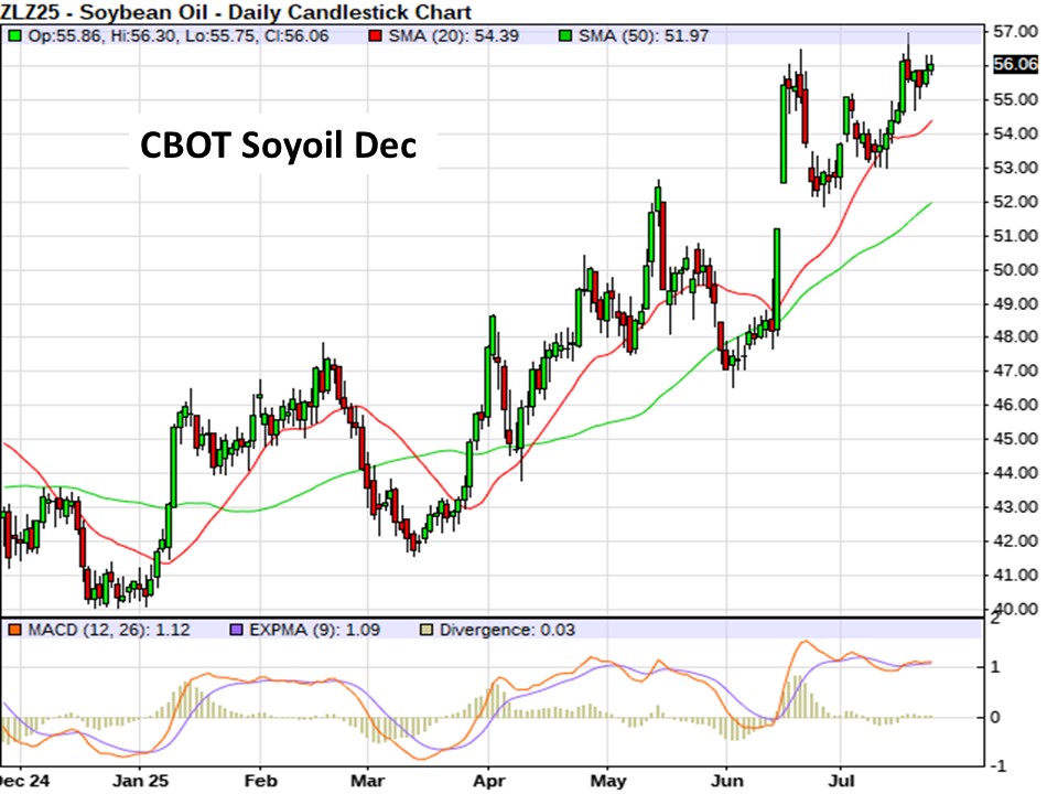 AM Market Report – July 24, 2025