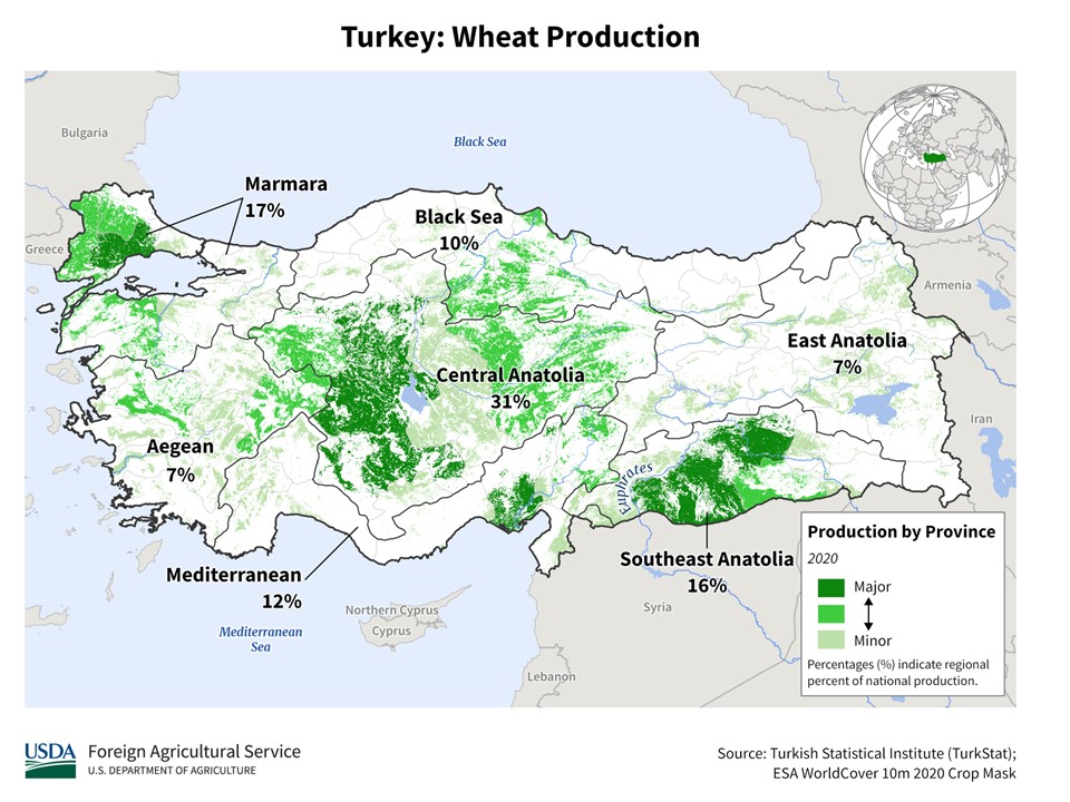 AM Market Report – July 9, 2025