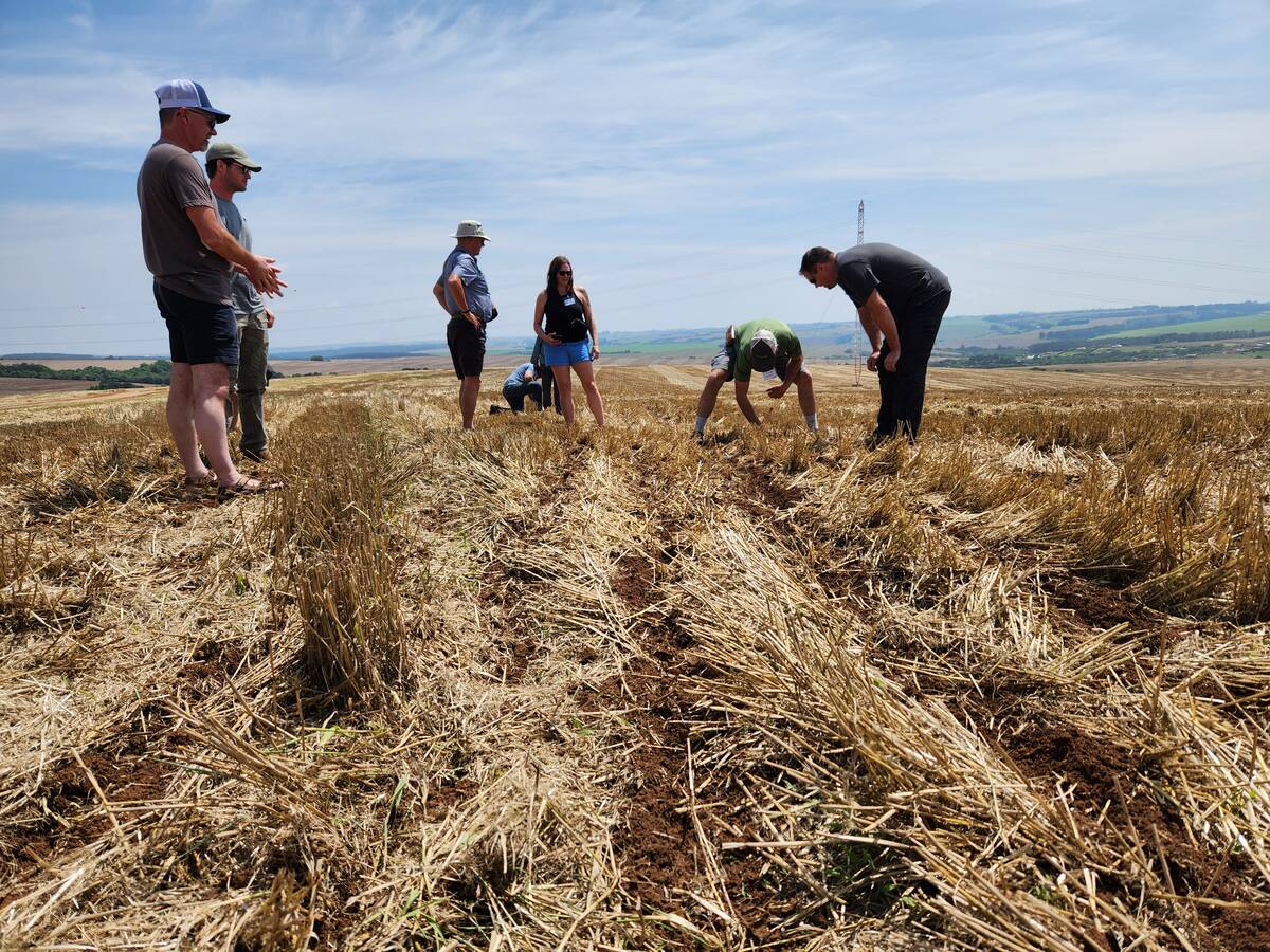 Farming Smarter, wheat