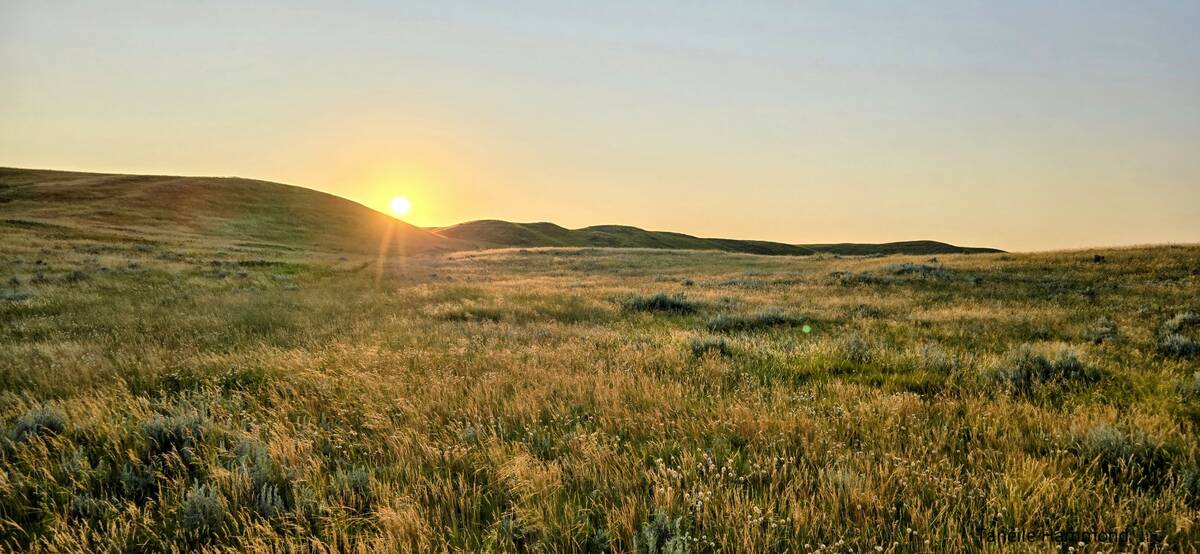 Lloyd and Nyla Anderson recently signed a 25-year term conservation easement with the Saskatchewan Stock Growers Foundation to protect 640 acres of native grassland near Fir Mountain.