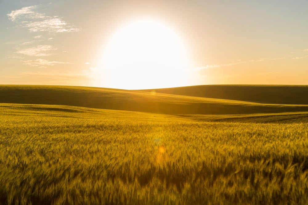 (Evandrorigon/E+/Getty Images)
