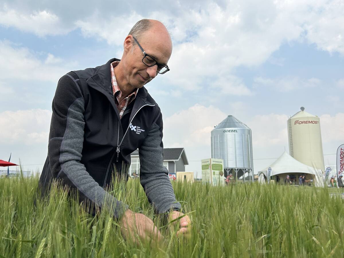 A man kneels and looks at a crop in a plot at the Ag in Motion farm show near Langham, Sask.