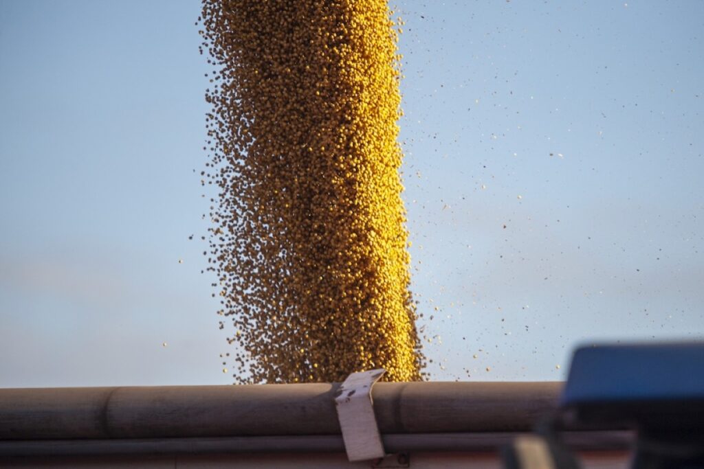 China’s soymeal glut raises demand doubts ahead of US soybean export season