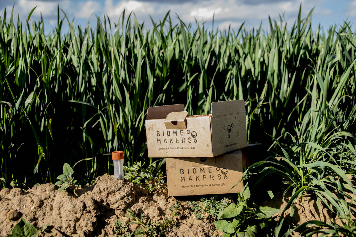 Two cardboard boxes with 