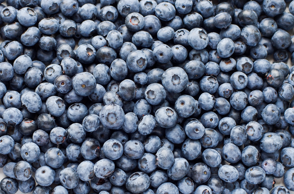 FDA escalates organic blueberry recall to highest level over listeria risk