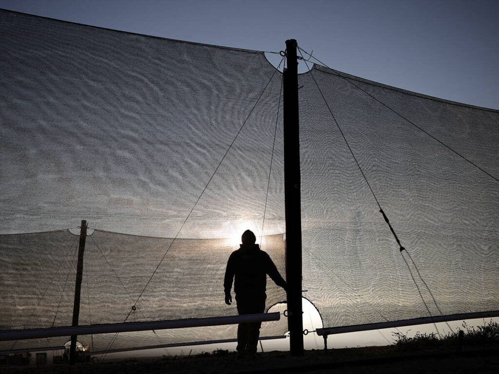 Orlando Rojas, president of the Atacama fog catcher group, checks fog catchers, meshes suspended between two poles that intercept small bits of moisture to collect water from the air in the Atacama Desert, in Chanaral, Chile.