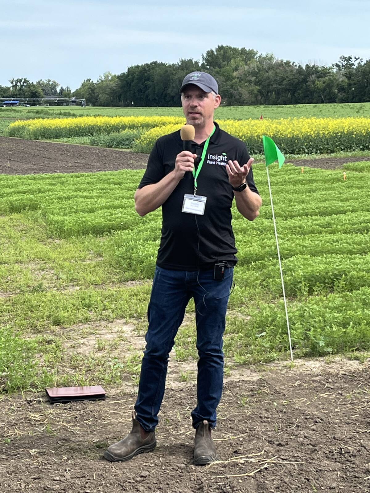 Dave Greenshields Insight Plant Health