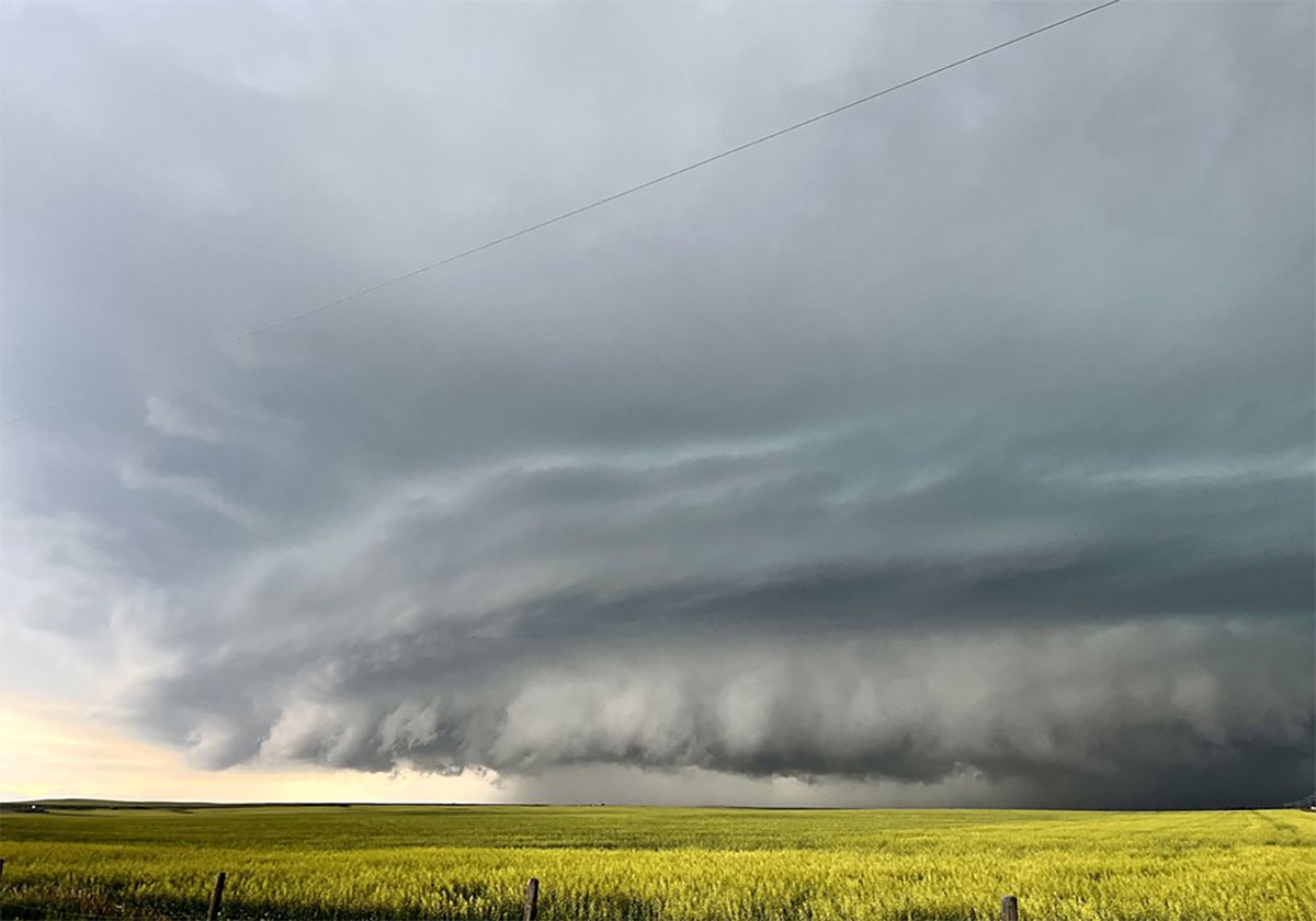 A cloud shelf is clearly visible at the leading edge of a storm moving across green prairie crops.