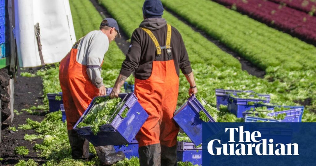 More than 80% of UK farmers worried about climate crisis harming livelihood, study finds | Farming