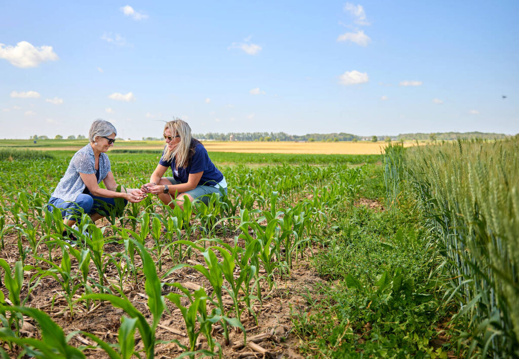 Drs. Claudia Wagner-Riddle (left) and Kari Dunfield at the Ontario Crops Research Centre in Elora. Photo: University of Guelph.