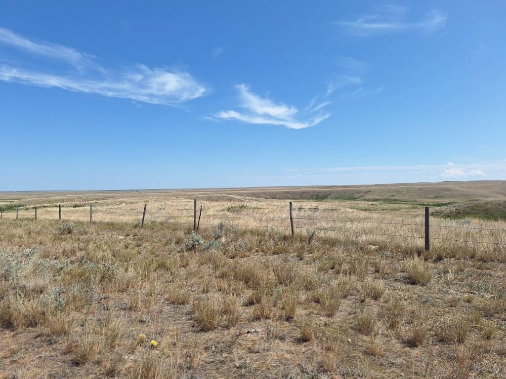 A look at Saskatchewan producer Calvin Gavelin