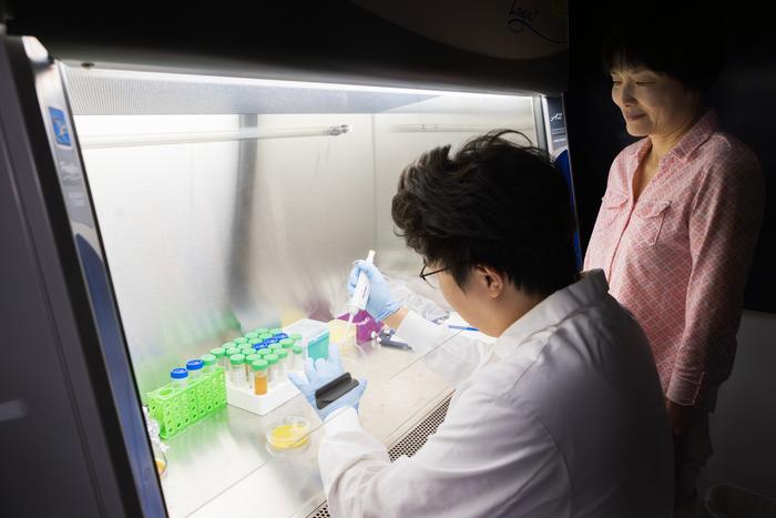 Researchers turn food waste into biodegradable plastic in breakthrough study