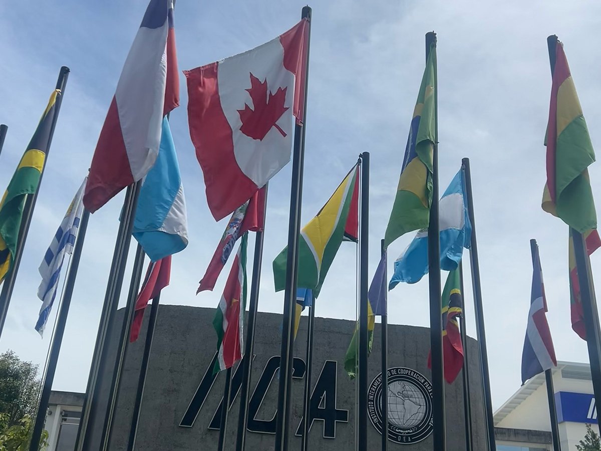 Looking up at at a number of flags on poles, with the Canadian flag in th centre.