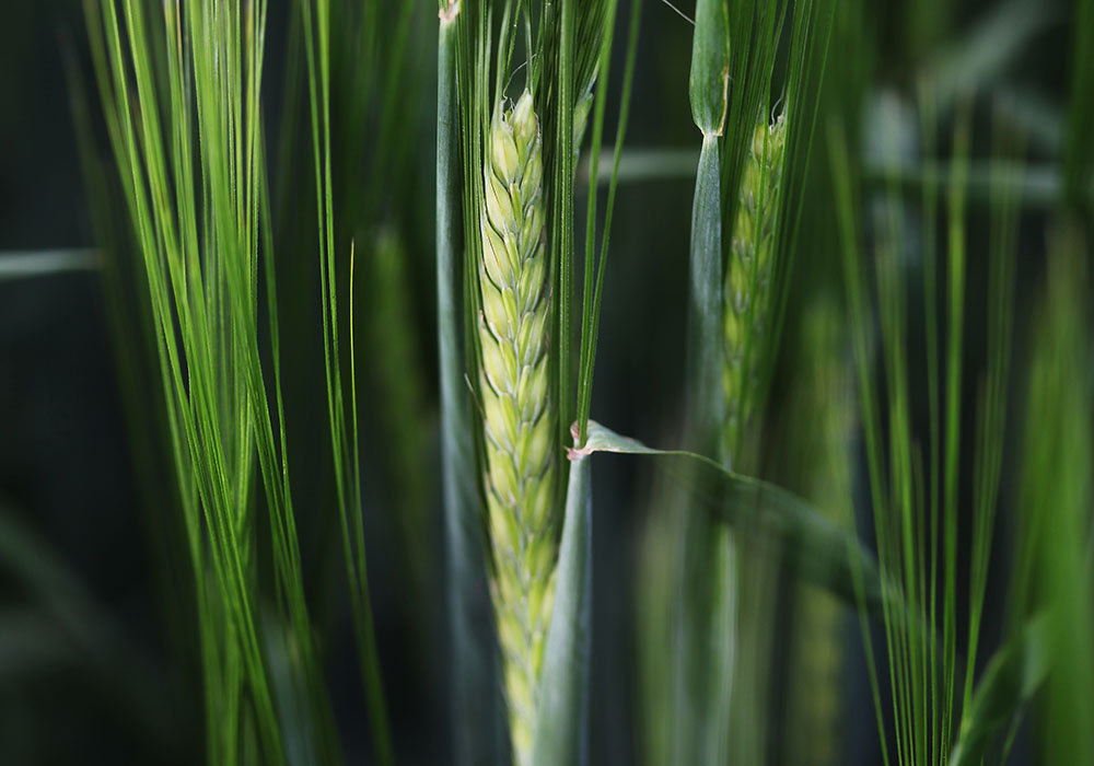 The Good, Bad & Ugly