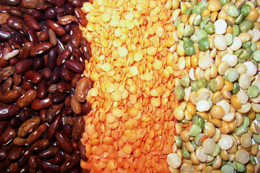 U.S. pulse group commits to doubling production in five years