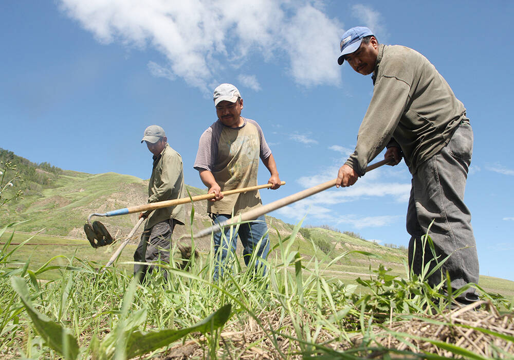 oreign workers. | File photo