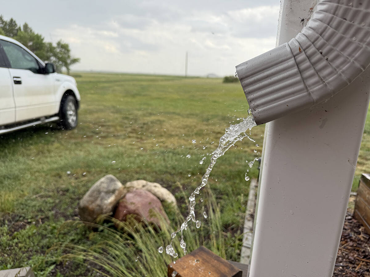 Rain water comes out of a downspout on a house with a white truck and a field of wheat in the background.