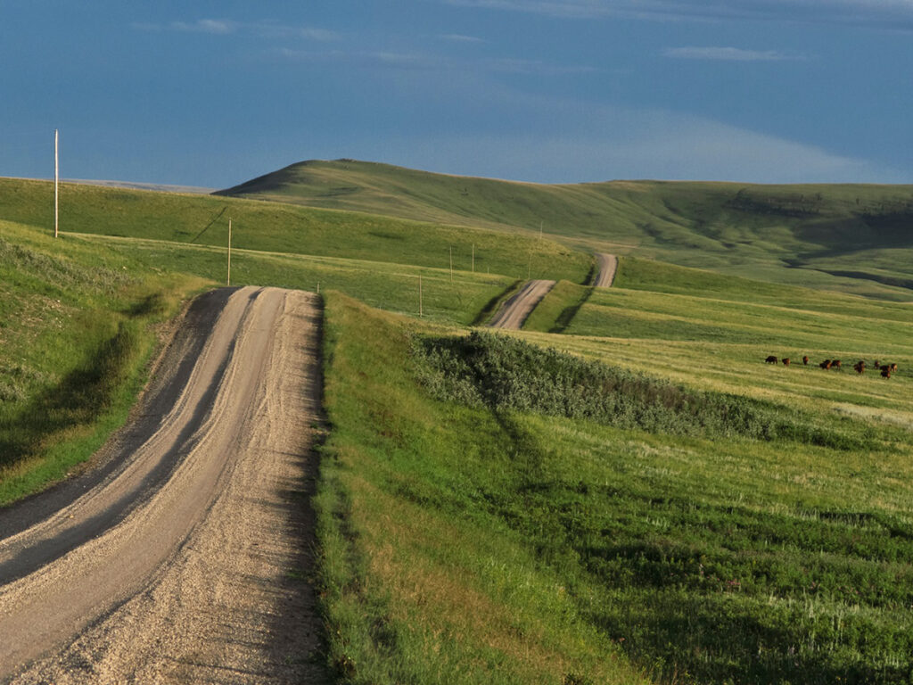 A gravel road runs alongside a lush green pasture in slightly hilly terrain.