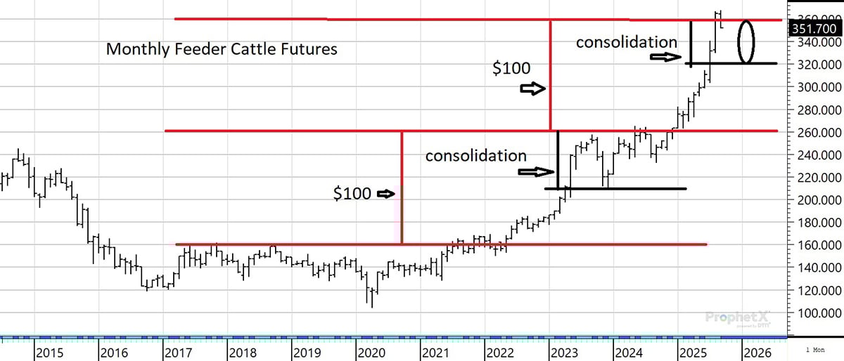 A chart showing monthly cattle futures values from 2015 to 2026.