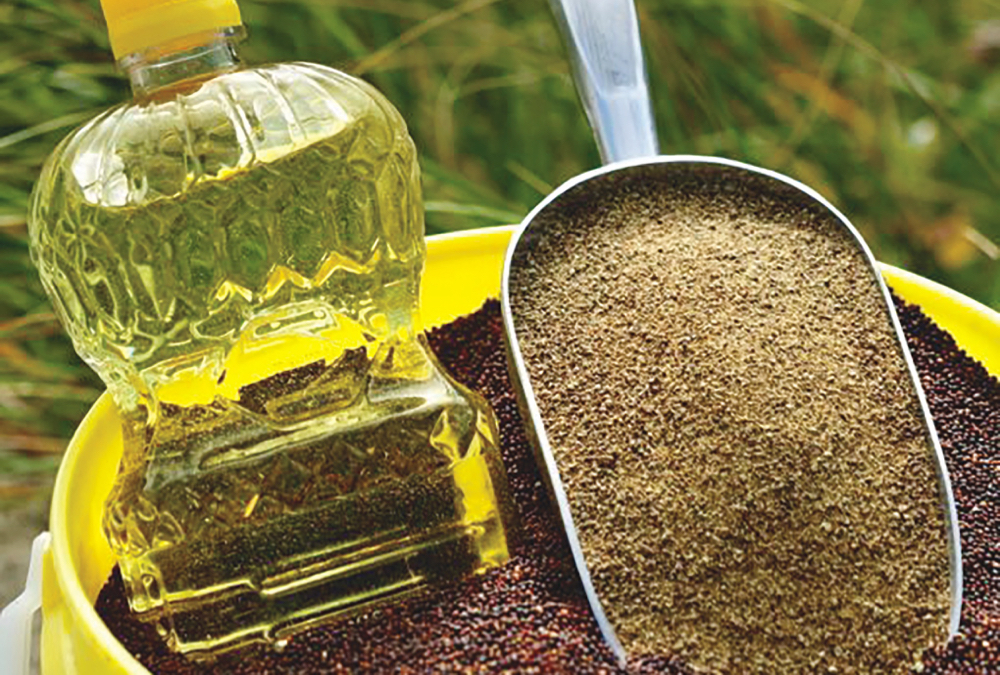 Survey says Canadians support canola producers over EV tariffs