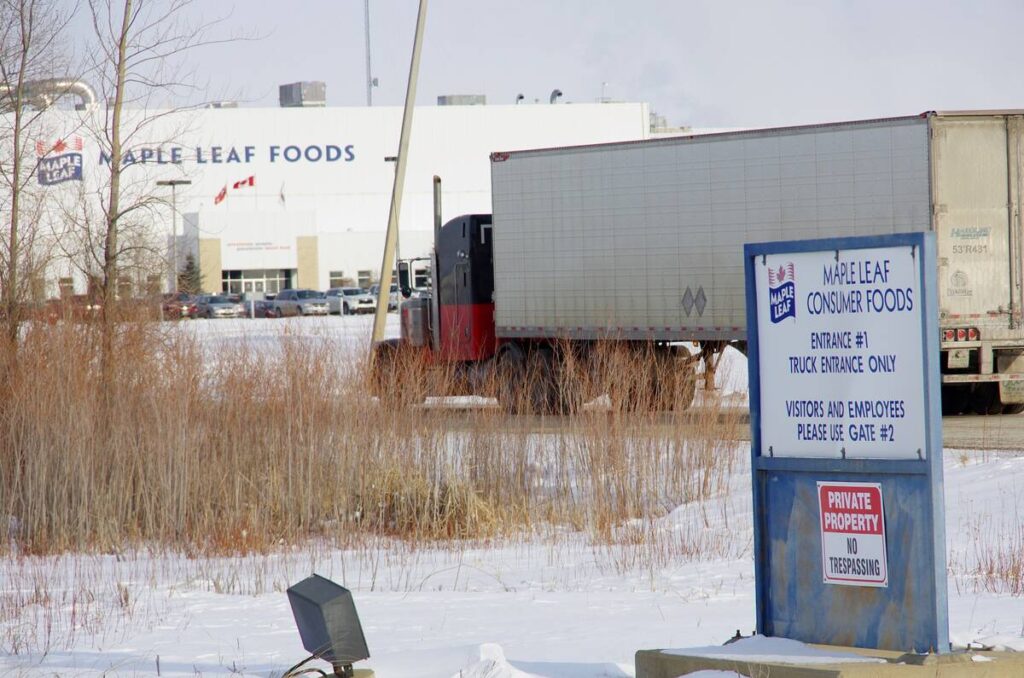 A truck enters the Maple Leaf Foods pork processing plant in Brandon, Man. Photo: Alexis Stockford
