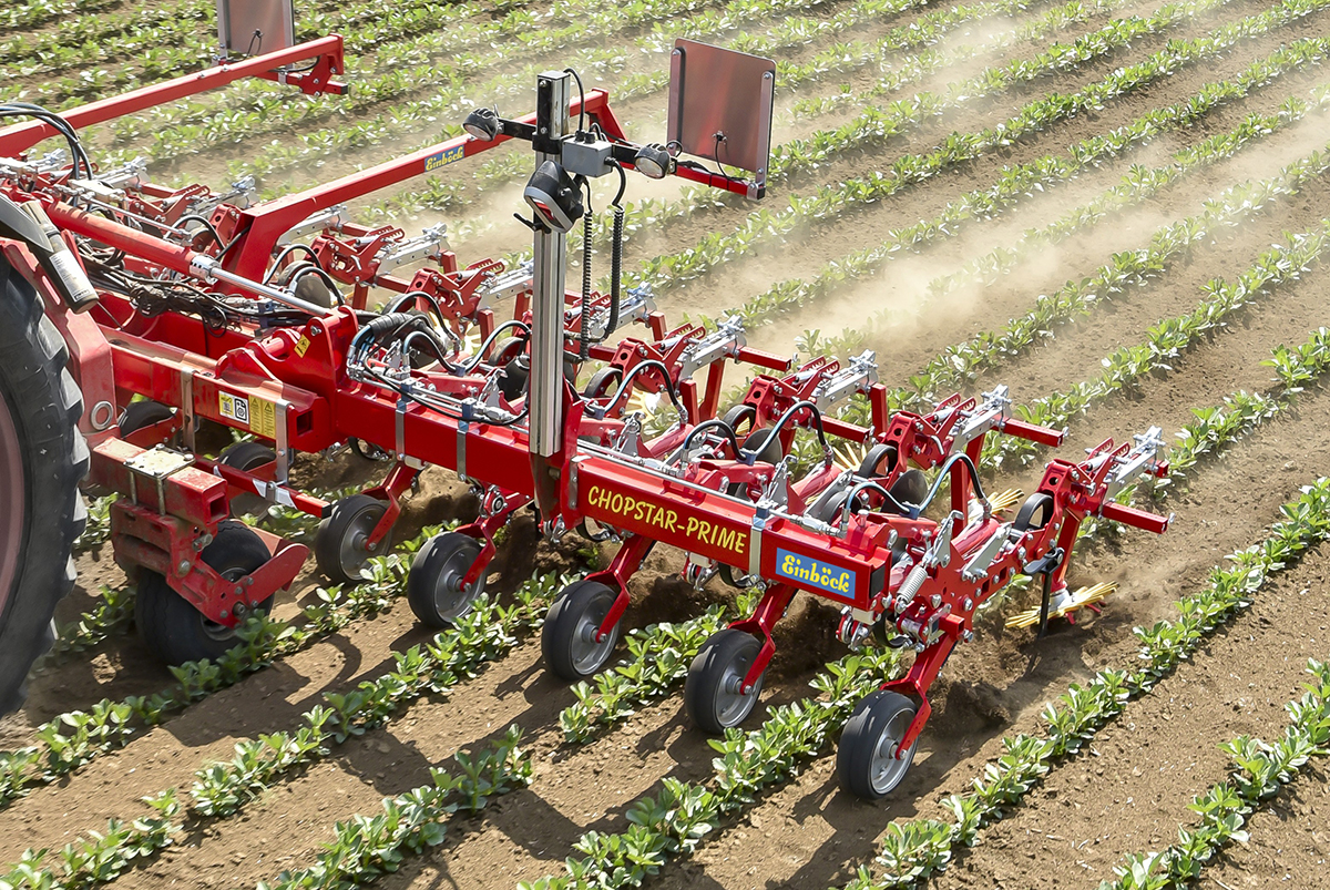 An Einböck GmbH Smart-Hill at work clearing weeds between rows of crop.