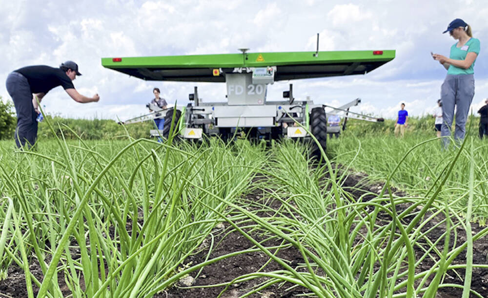 FarmDroid FD20 provides horticultural seeding and weeding and drew plenty of interest at the onion trial tour stop at Smith Farms during the AgRobotics July 4, 2024 demo day in Bradford and Holland Marsh. Photo: Diana Martin