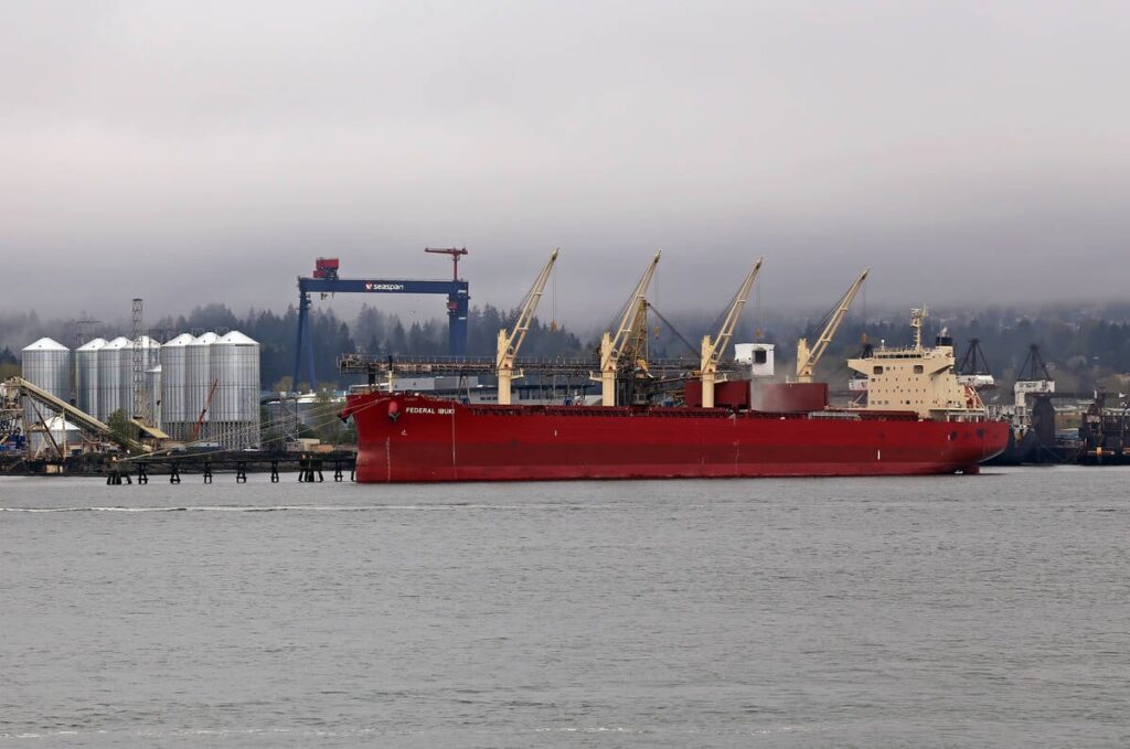 A bulk grain ship sits at dock at the Port of Vancouver.