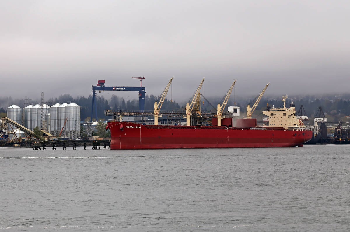 A bulk grain ship sits at dock at the Port of Vancouver.
