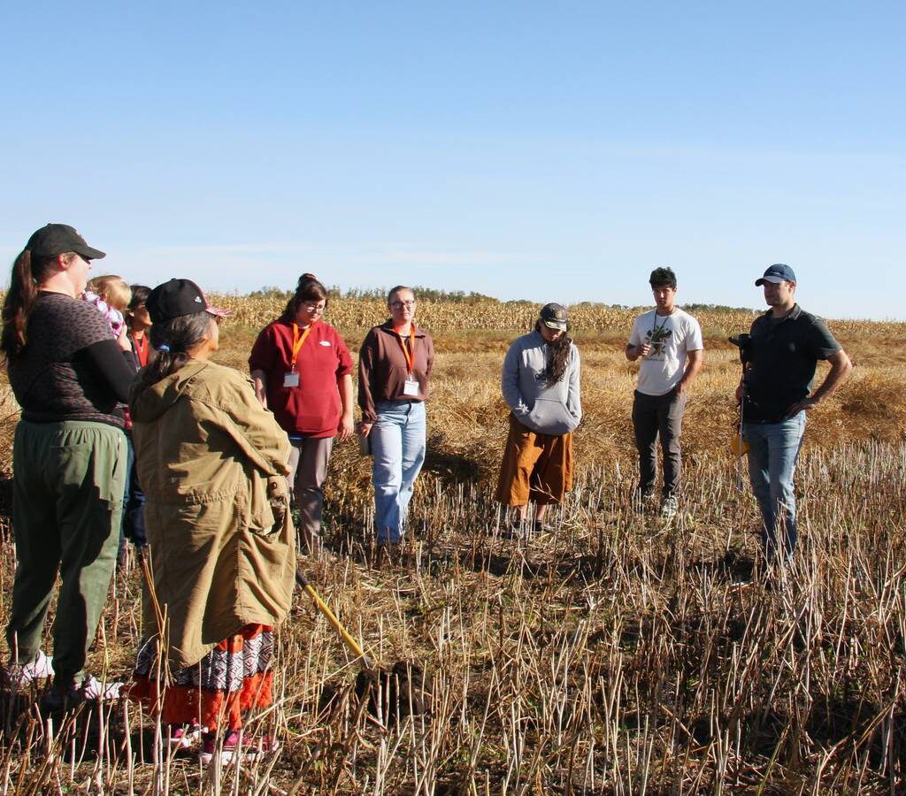 Attendees of the Indigenous Farm and Food Festival in Batoche, Sask., stand in a swathed canola field in late September 2025. 